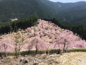 関学写真③